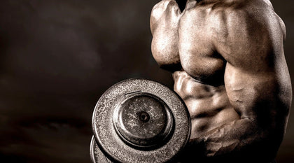 Body Building - Afrofit GymStore